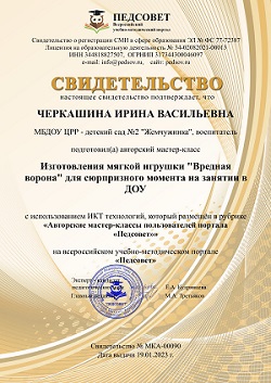 Сертификат Мастер класс.jpg